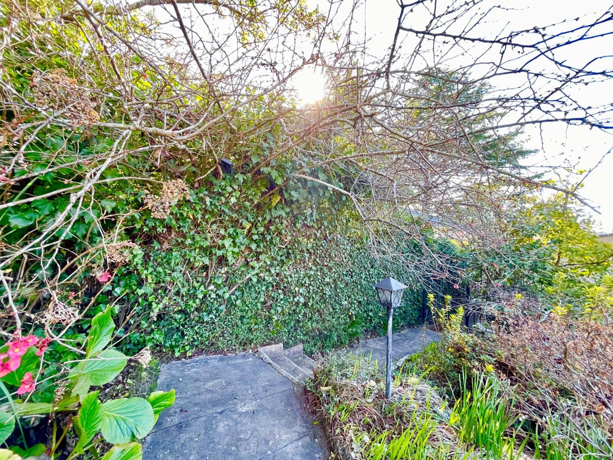 Raspberry Terrace Of Leura Villa ภายนอก รูปภาพ