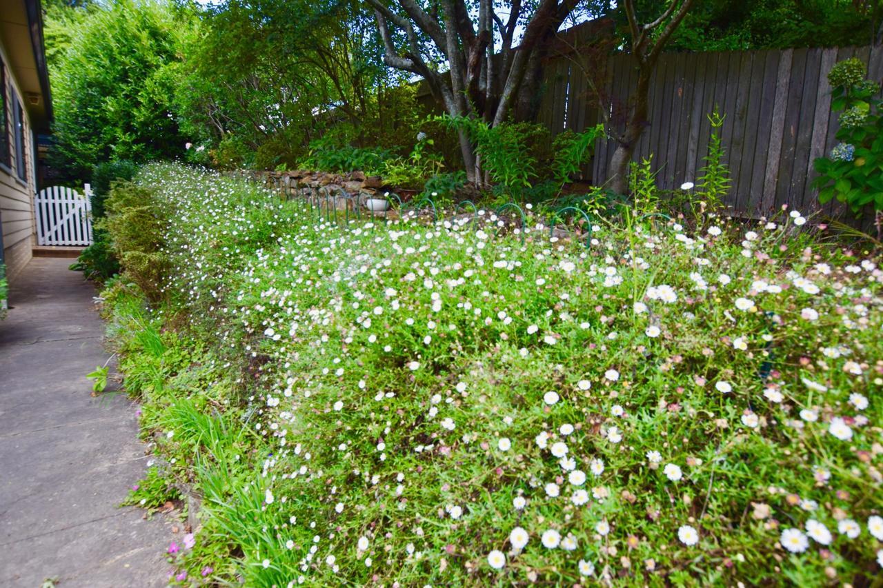 Raspberry Terrace Of Leura Villa ภายนอก รูปภาพ